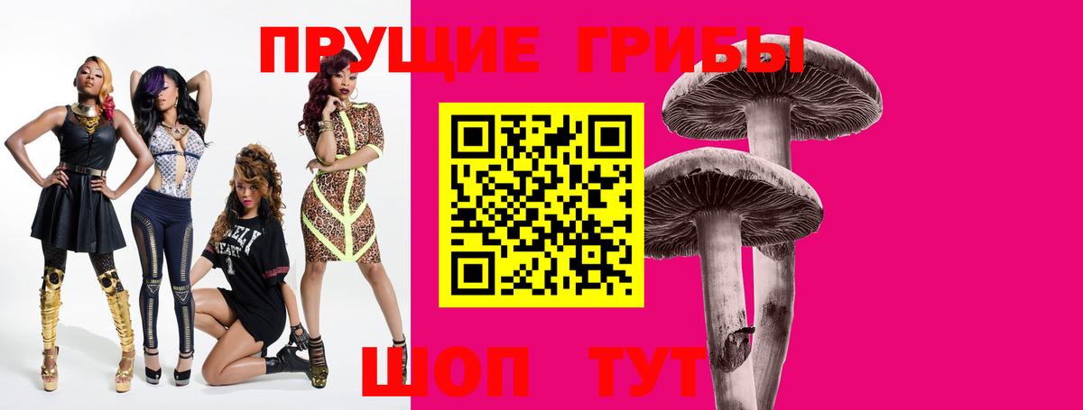 Галлюциногенные грибы Psilocybine cubensis Кириши